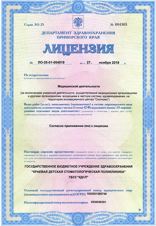 Лицензия № ЛО-25-01-004519 от 27.11.2018